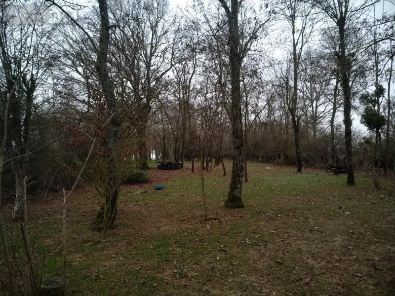Terrains de loisirs bois etangs a vendre Saint-Outrille 18310 Cher 18 32791 euros 142136G 002