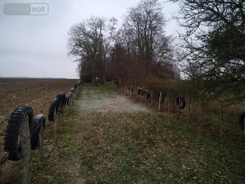 Terrains de loisirs bois etangs a vendre Saint-Outrille 18310 Cher 18 32791 euros 142136G 003
