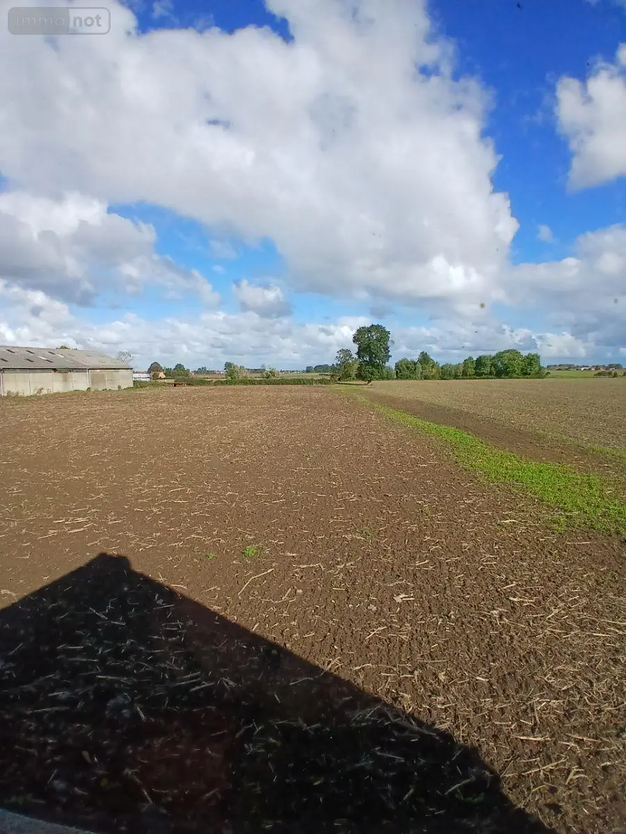 Location maison Rexpoëde 59122 Nord 59 85 m2 4 pièces 820 euros M1338 019