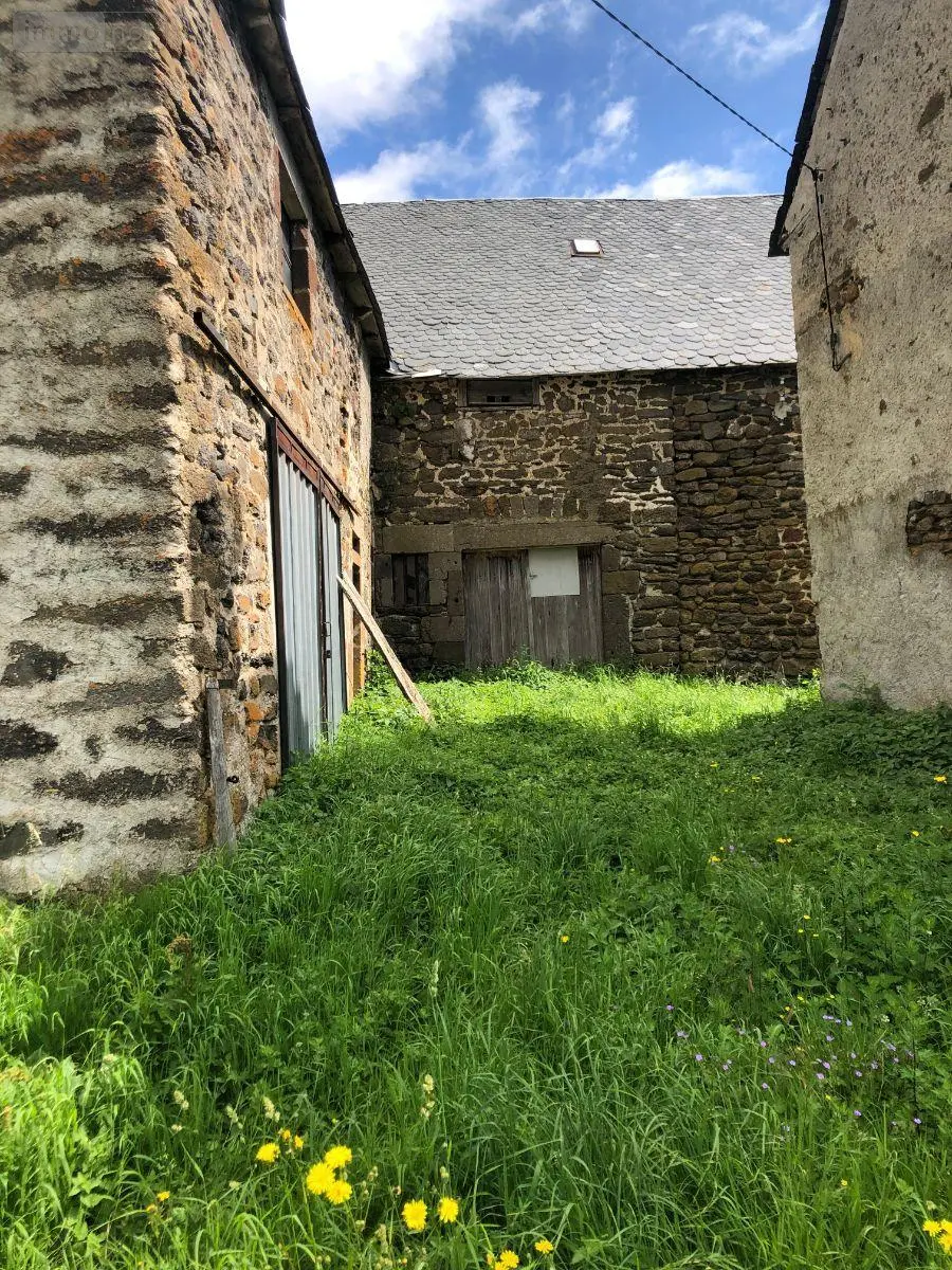 Maison a vendre Peyrusse 15170 Cantal 15 28000 euros MB/1566 016