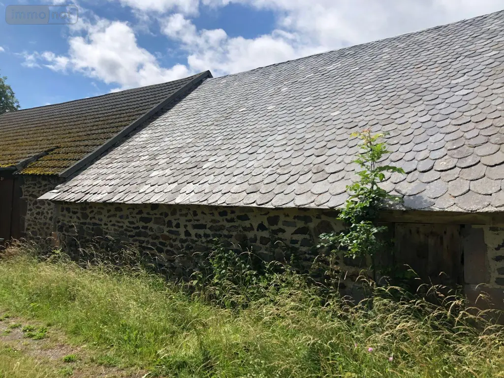 Maison a vendre Peyrusse 15170 Cantal 15 28000 euros MB/1566 013