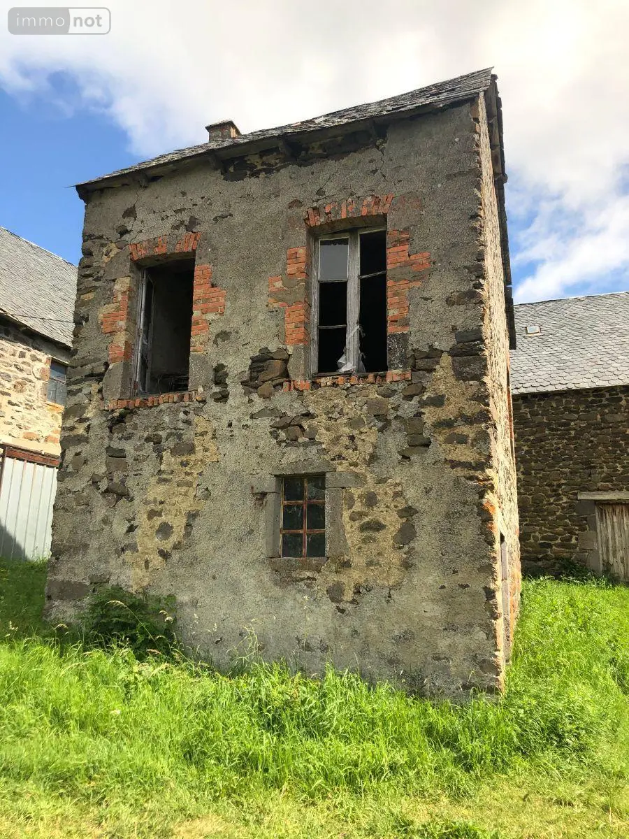 Maison a vendre Peyrusse 15170 Cantal 15 28000 euros MB/1566 010