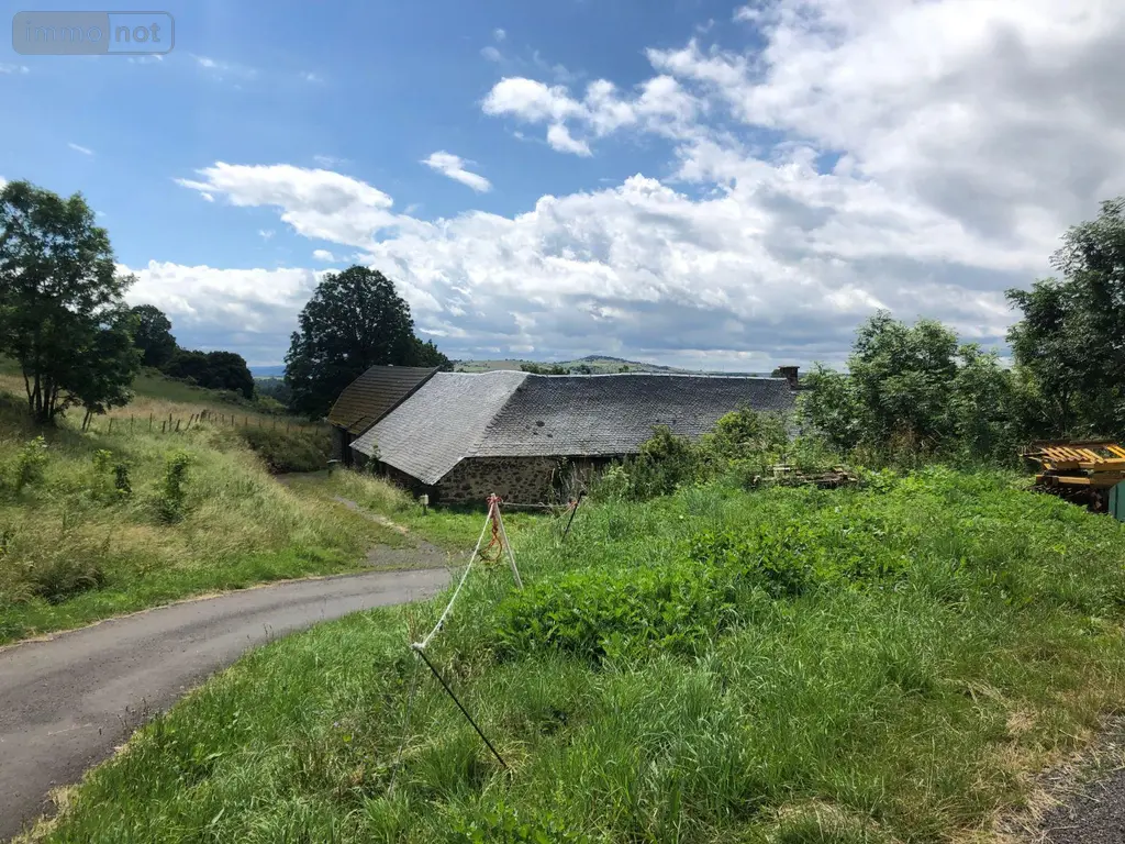 Maison a vendre Peyrusse 15170 Cantal 15 28000 euros MB/1566 004