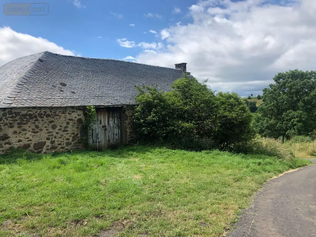 Maison a vendre Peyrusse 15170 Cantal 15 28000 euros MB/1566 005