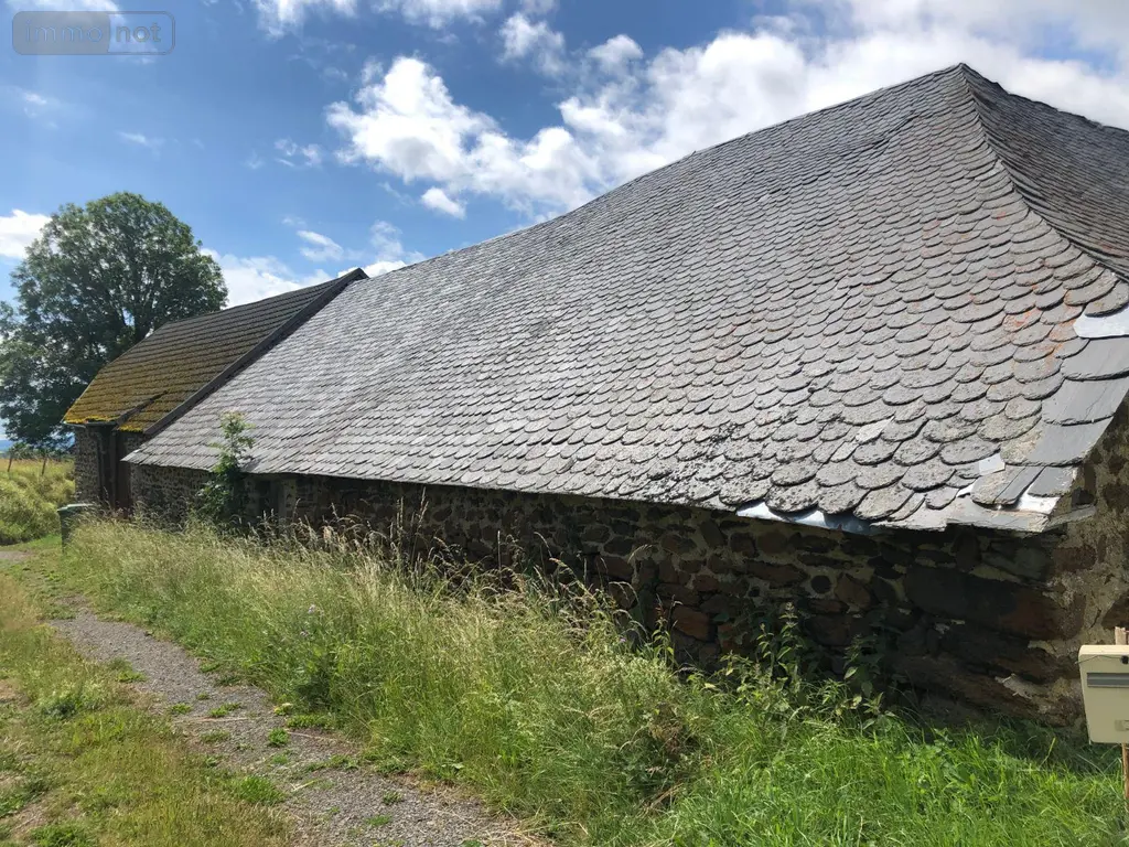 Maison a vendre Peyrusse 15170 Cantal 15 28000 euros MB/1566 043