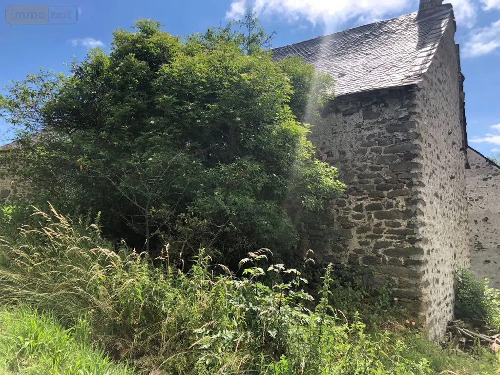 Maison a vendre Peyrusse 15170 Cantal 15 28000 euros MB/1566 044