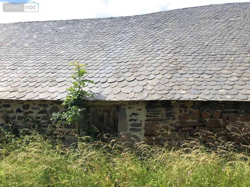 Maison a vendre Peyrusse 15170 Cantal 15 28000 euros MB/1566 049