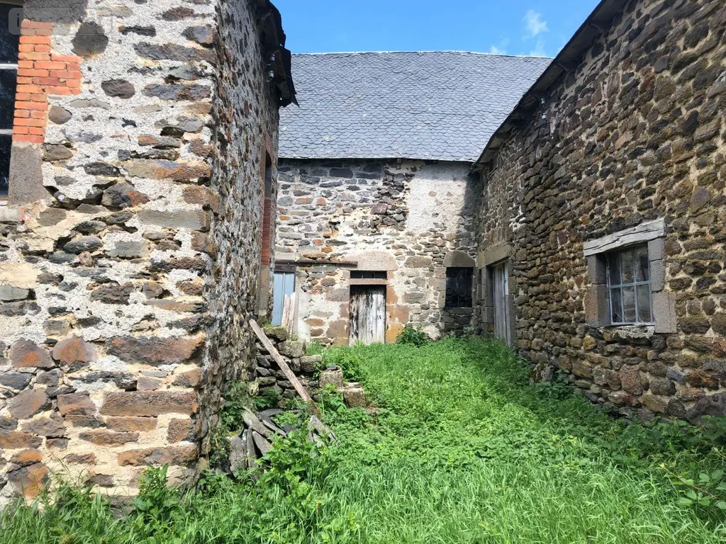 Maison a vendre Peyrusse 15170 Cantal 15 28000 euros MB/1566 050