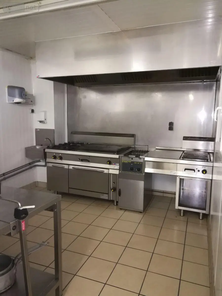 Immeuble de rapport a vendre Vic-sur-Cère 15800 Cantal 15 473 m2 76000 euros MG/1572 003