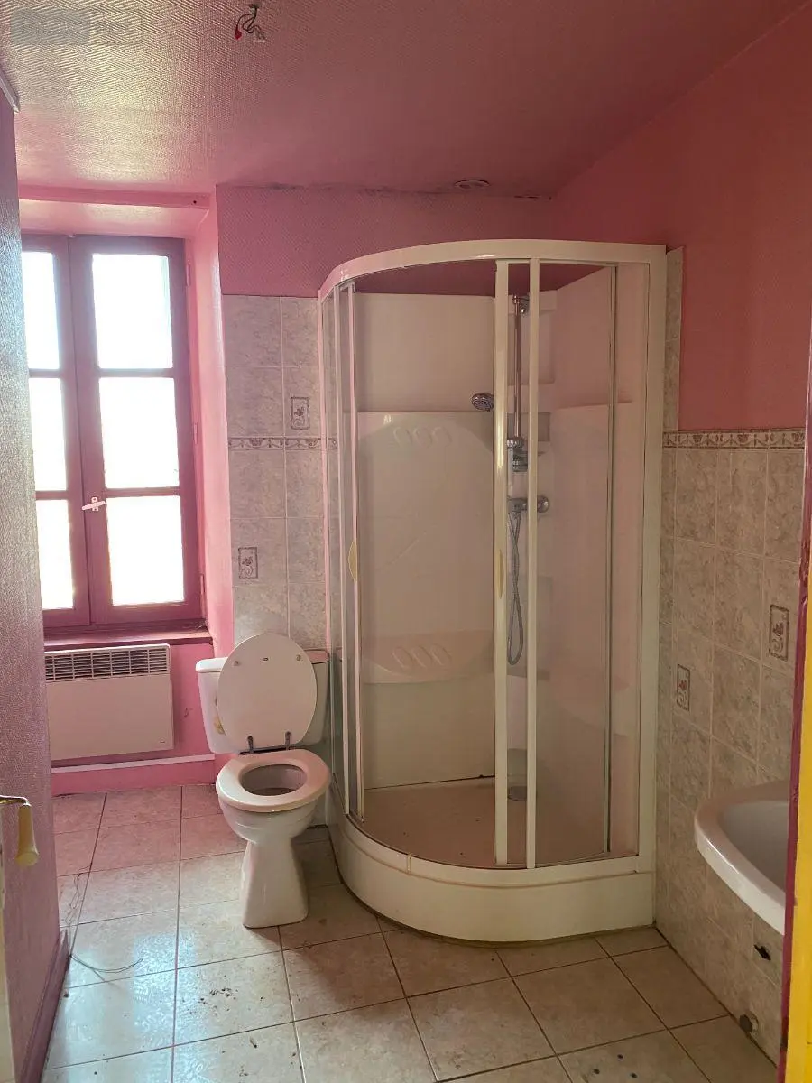 Immeuble de rapport a vendre Mauriac 15200 Cantal 15 8 pièces 100700 euros 15060/864 006