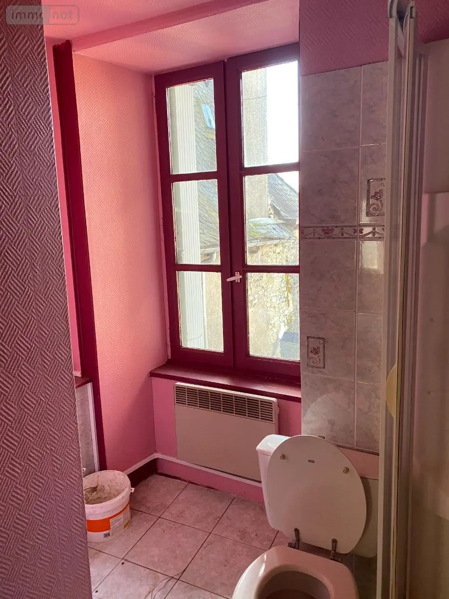 Immeuble de rapport a vendre Mauriac 15200 Cantal 15 8 pièces 100700 euros 15060/864 012