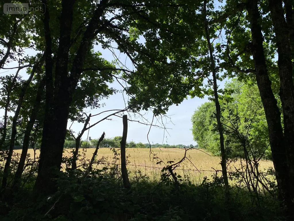 Terrain a batir a vendre Mauriac 15200 Cantal 15 4000 m2 53000 euros 15060/889 002