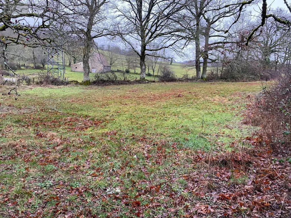 Terrain a batir a vendre Mauriac 15200 Cantal 15 31800 euros 15060/907 002