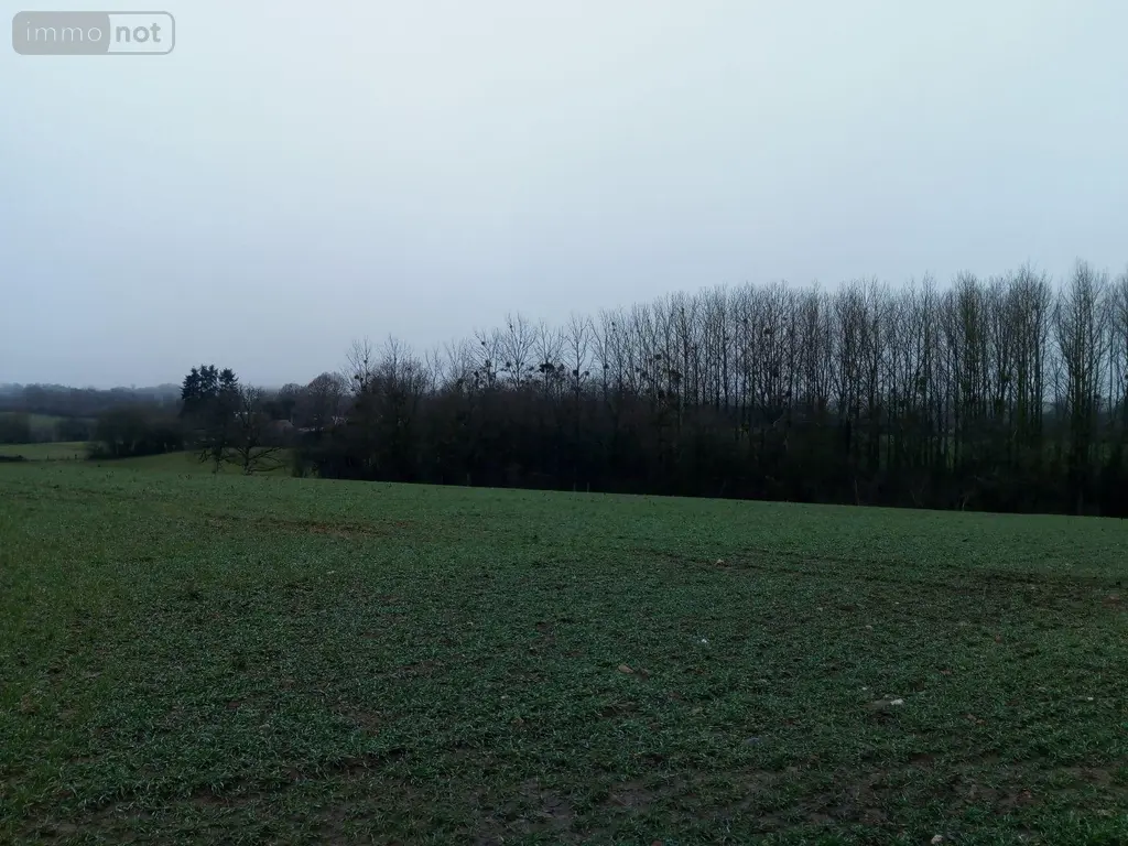 Divers a vendre Vimartin-sur-Orthe 53160 Mayenne 53 3600 euros 805 002