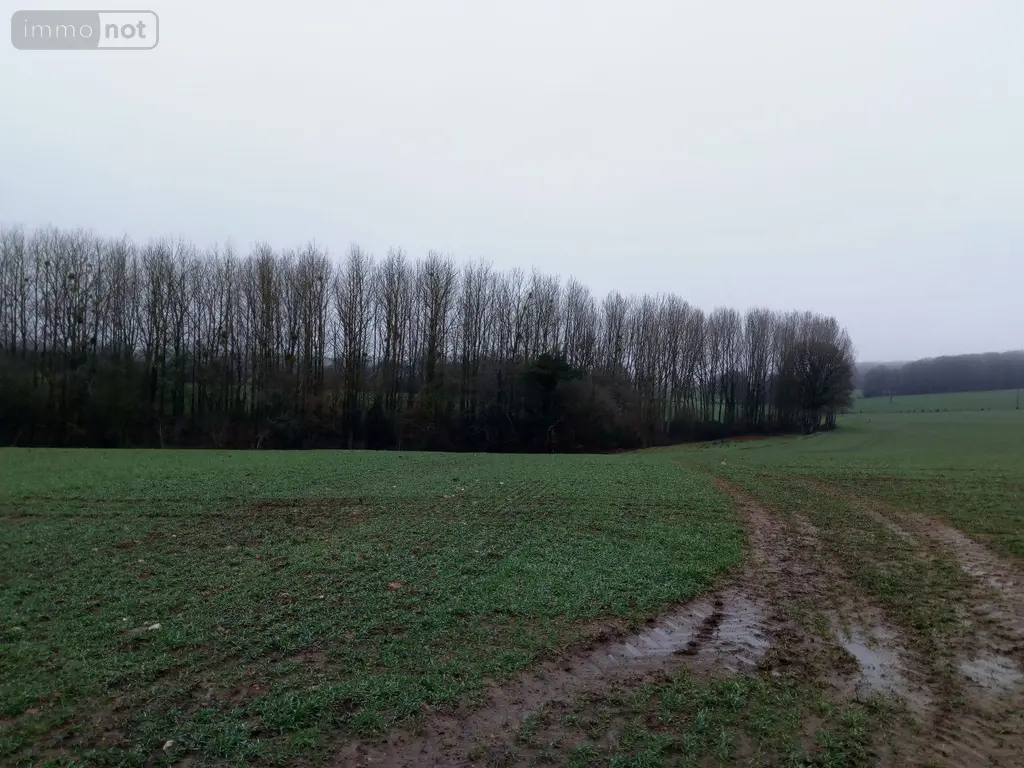 Divers a vendre Vimartin-sur-Orthe 53160 Mayenne 53 3600 euros 805 003