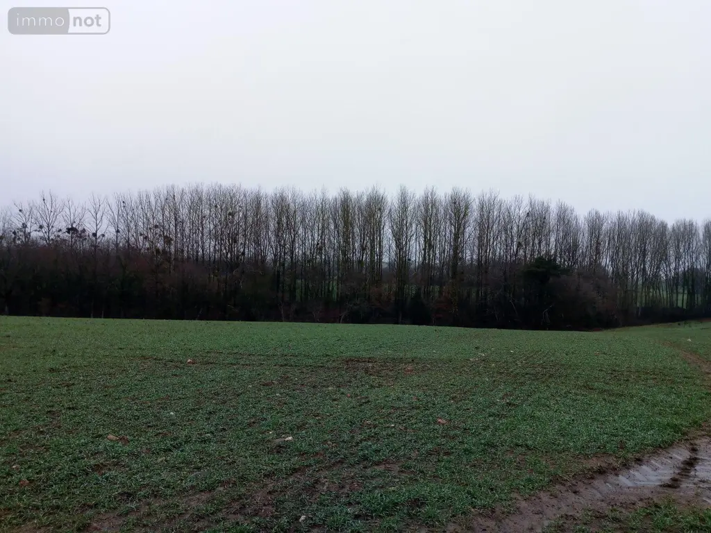 Divers a vendre Vimartin-sur-Orthe 53160 Mayenne 53 3600 euros 805 001