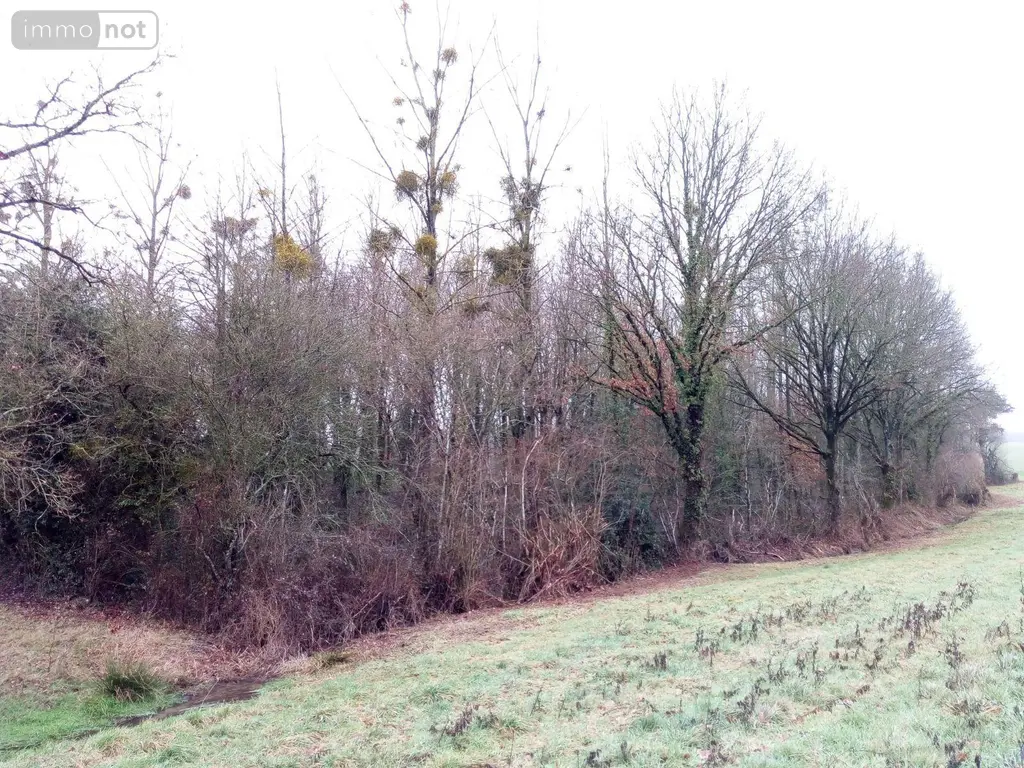 Divers a vendre Vimartin-sur-Orthe 53160 Mayenne 53 3600 euros 805 004