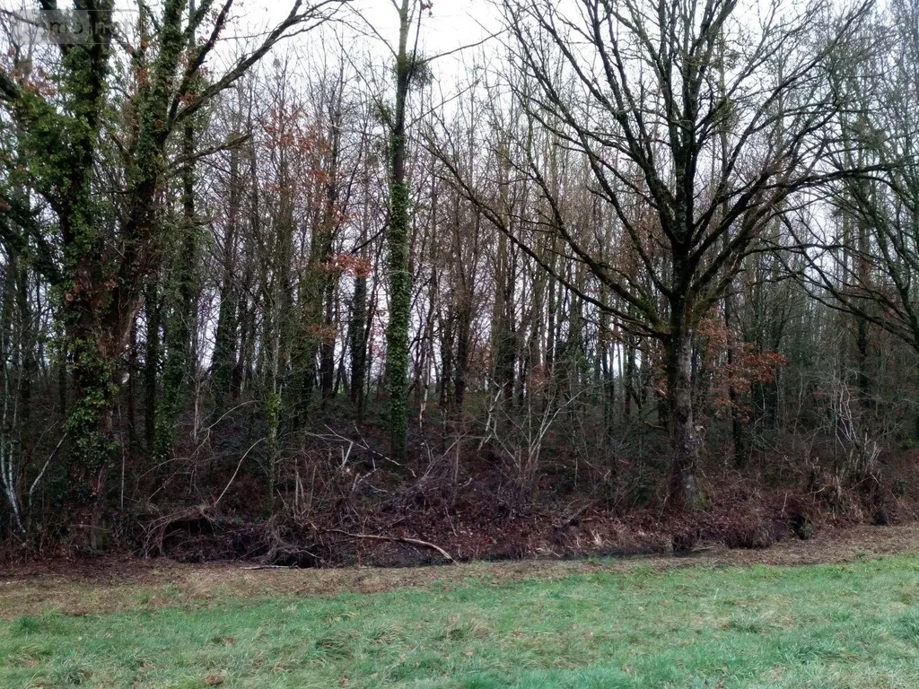 Divers a vendre Vimartin-sur-Orthe 53160 Mayenne 53 3600 euros 805 005