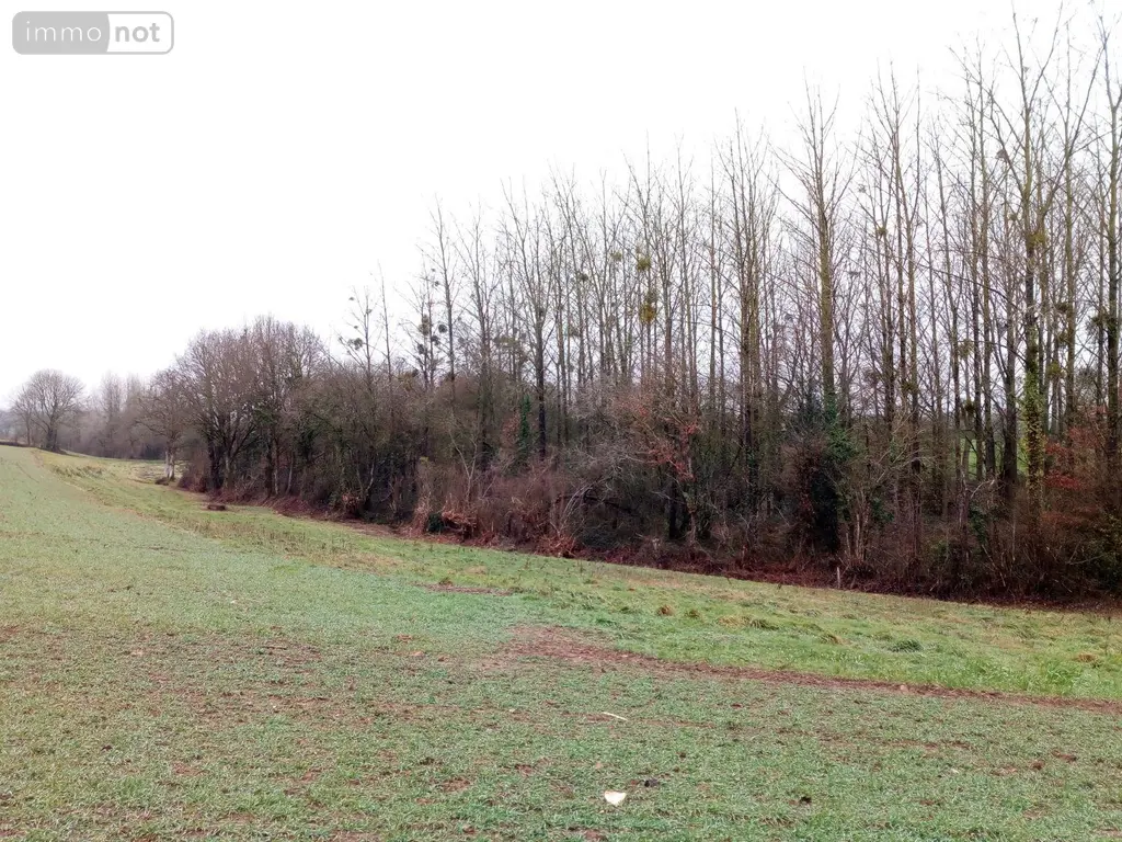Divers a vendre Vimartin-sur-Orthe 53160 Mayenne 53 3600 euros 805 006