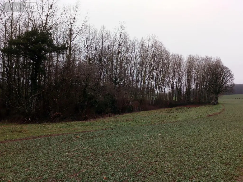 Divers a vendre Vimartin-sur-Orthe 53160 Mayenne 53 3600 euros 805 007