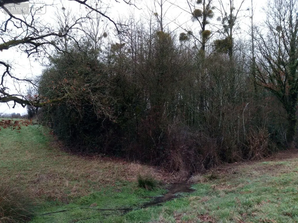 Divers a vendre Vimartin-sur-Orthe 53160 Mayenne 53 3600 euros 805 008