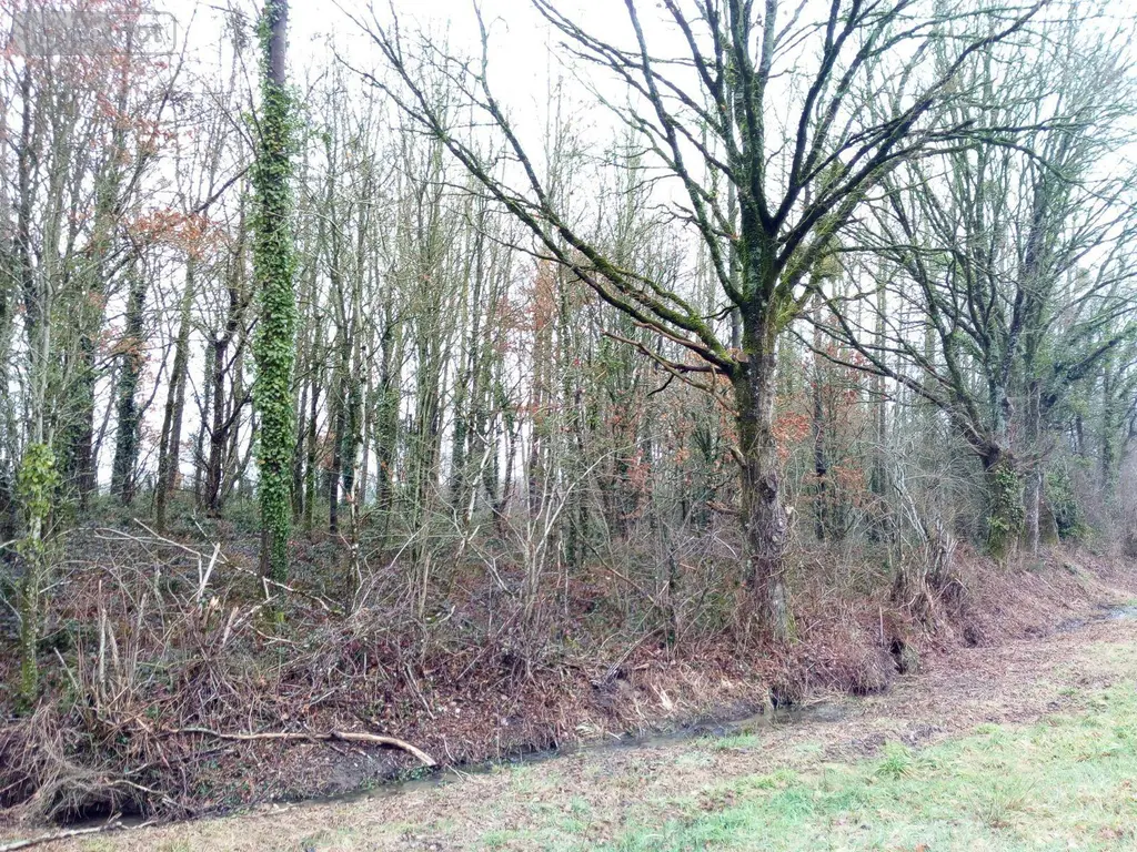 Divers a vendre Vimartin-sur-Orthe 53160 Mayenne 53 3600 euros 805 010