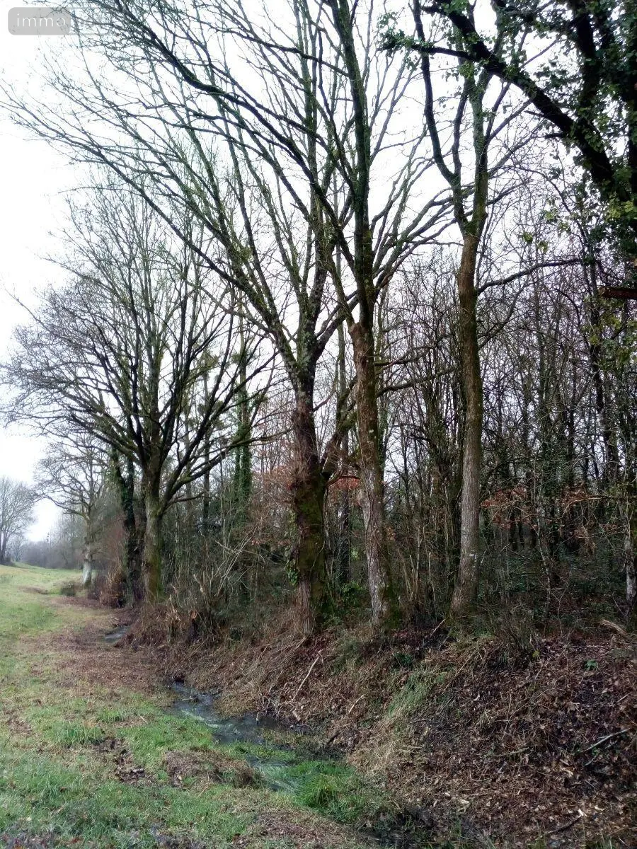Divers a vendre Vimartin-sur-Orthe 53160 Mayenne 53 3600 euros 805 011