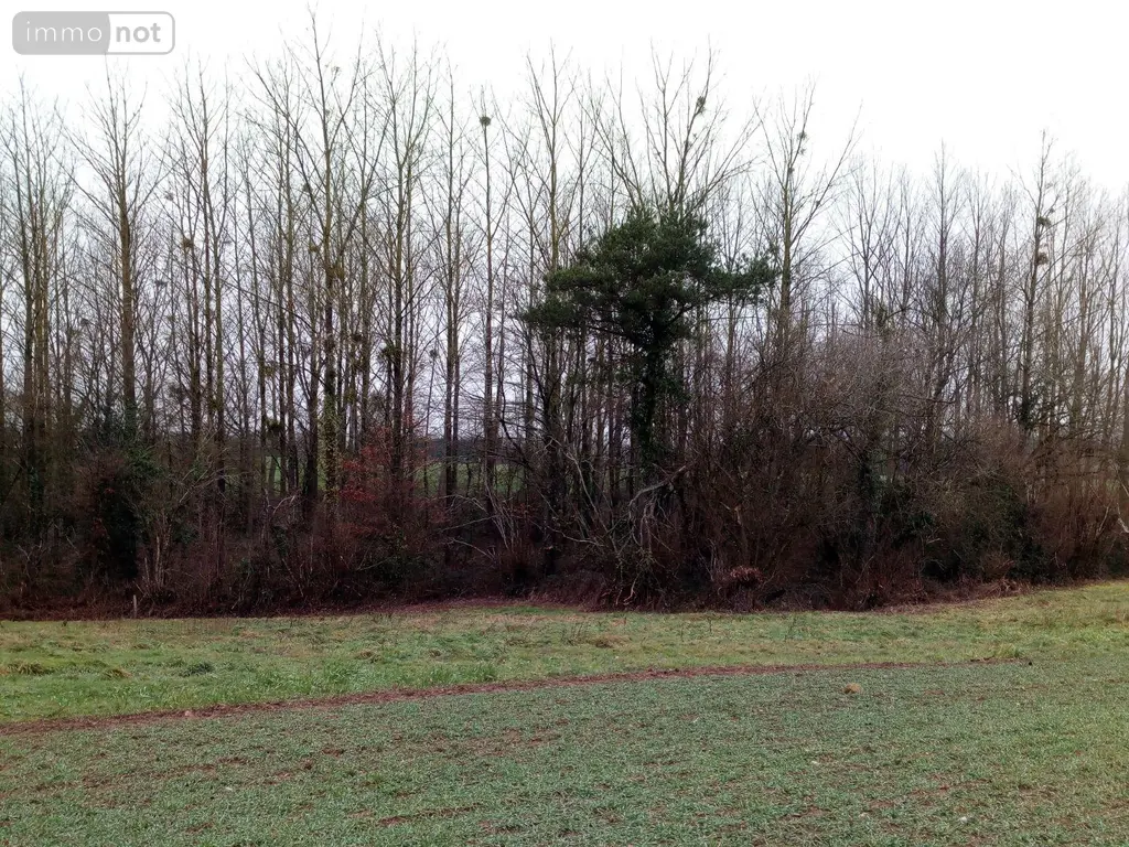 Divers a vendre Vimartin-sur-Orthe 53160 Mayenne 53 3600 euros 805 012