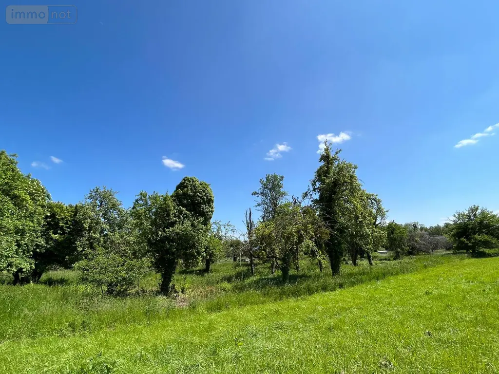 Terrain a batir a vendre Bourguignons 10110 Aube 10 2205 m2 48150 euros 10361/5944 005