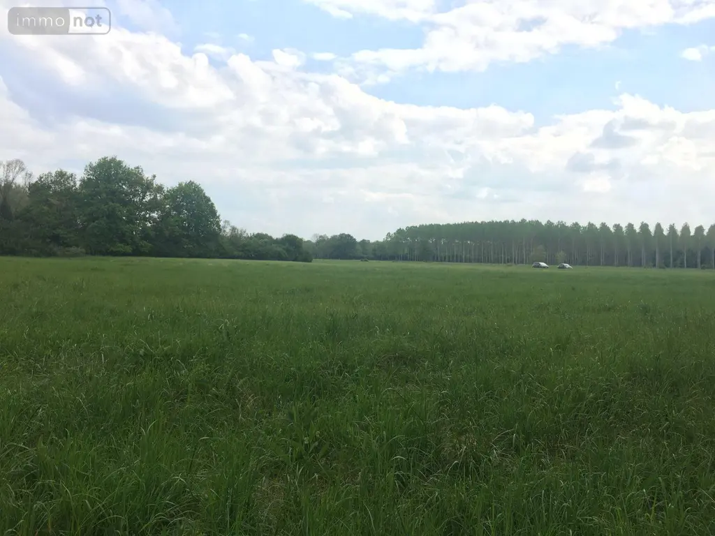 Terrains de loisirs bois etangs a vendre Buzançais 36500 Indre 36 13800 euros 1044248BIS 003