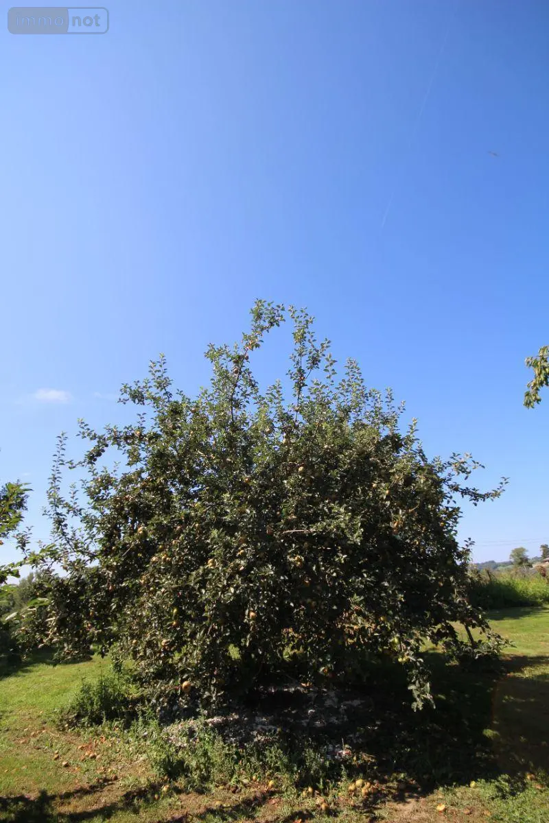 Maison a vendre Najac 12270 Aveyron 12 154 m2 7 pièces 354600 euros 3103 023