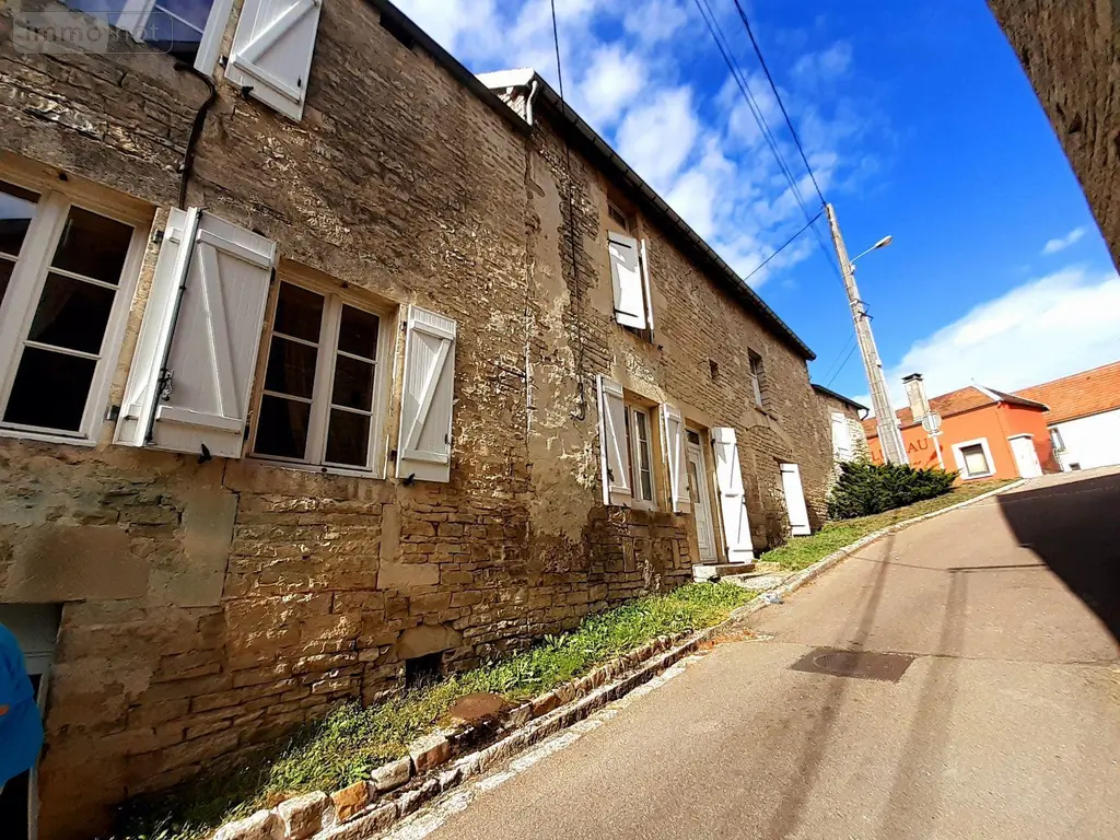 Maison a vendre Gyé-sur-Seine 10250 Aube 10 187 m2 6 pièces 0 euros 10063/1135 017