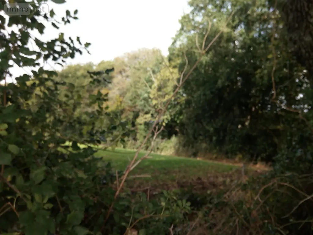 Terrains de loisirs bois etangs a vendre Saint-Thomas-de-Courceriers 53160 Mayenne 53 2700 euros 925 002