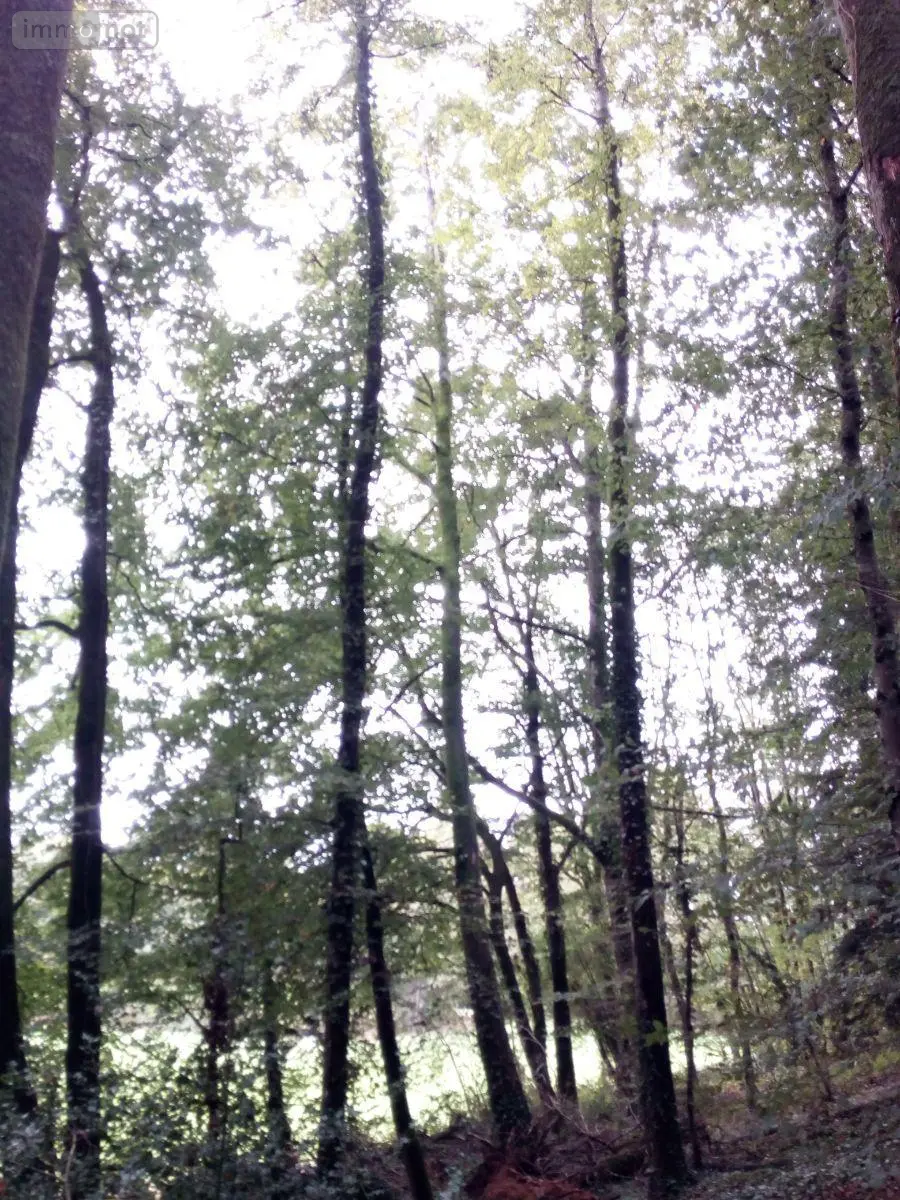 Terrains de loisirs bois etangs a vendre Saint-Thomas-de-Courceriers 53160 Mayenne 53 2700 euros 925 003