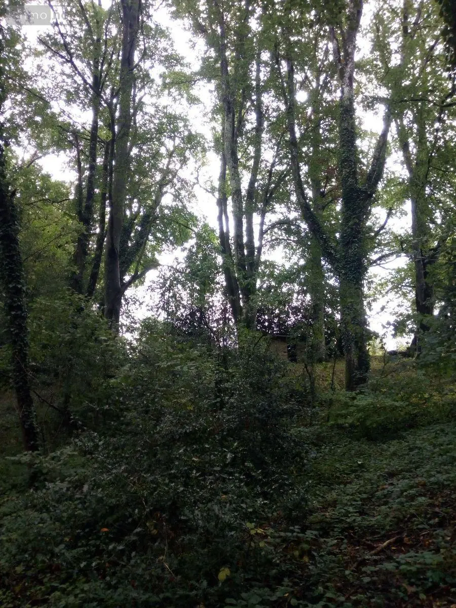 Terrains de loisirs bois etangs a vendre Saint-Thomas-de-Courceriers 53160 Mayenne 53 2700 euros 925 010