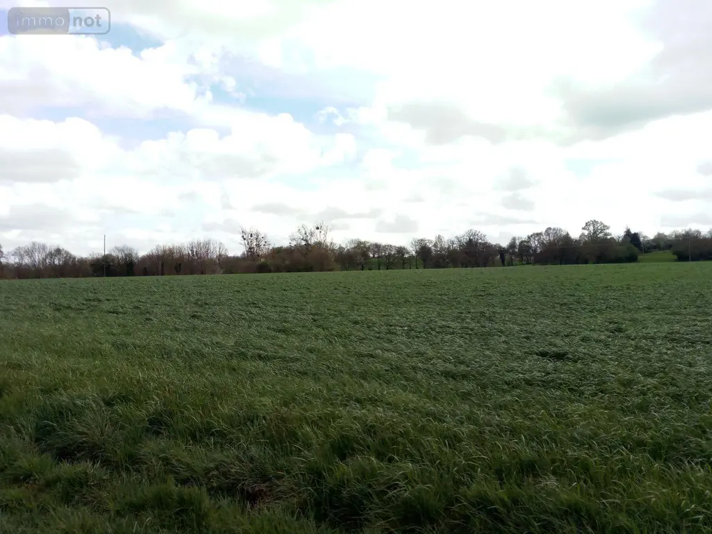 Bien agricole a vendre Villaines-la-Juhel 53700 Mayenne 53 33920 euros 971 005