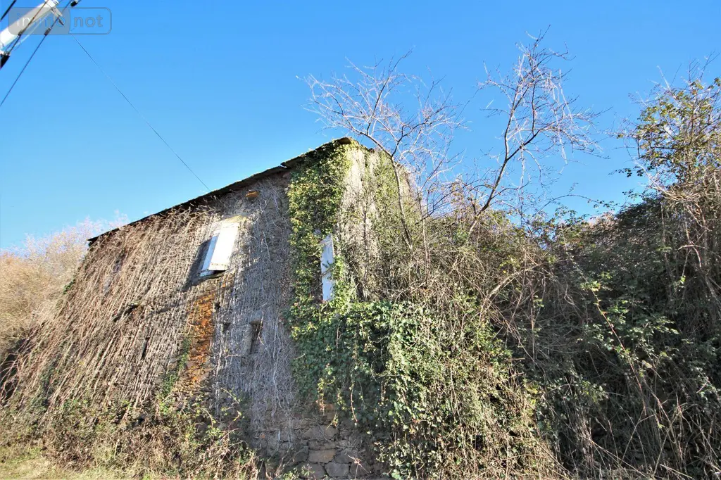 Divers a vendre Rieupeyroux 12240 Aveyron 12 80 m2 36000 euros 3118 004