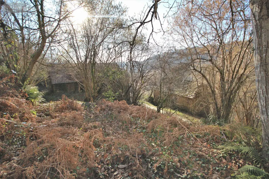Divers a vendre Rieupeyroux 12240 Aveyron 12 80 m2 36000 euros 3118 002