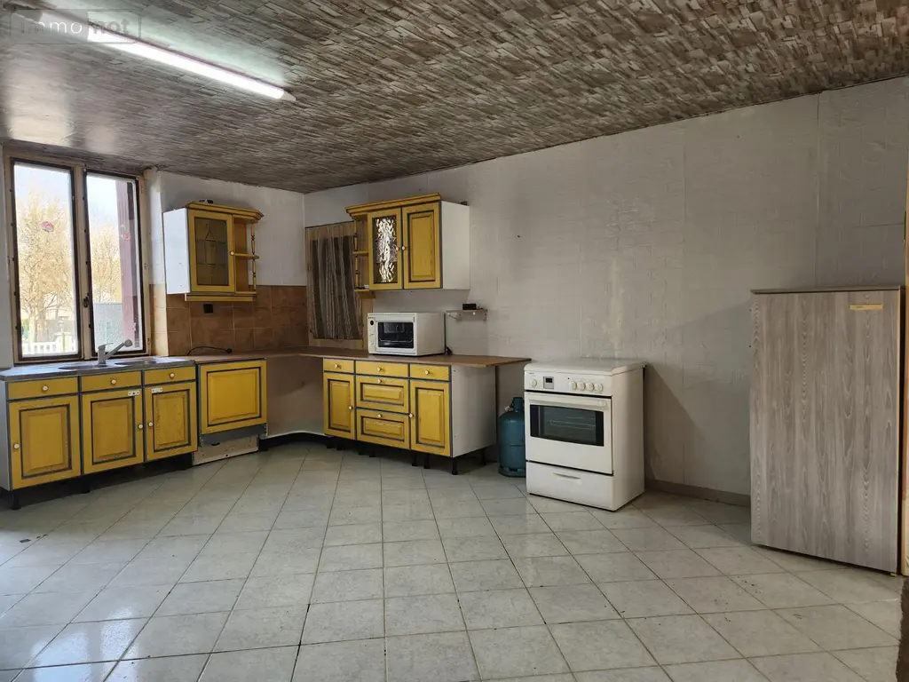 Maison a vendre Ville-sous-la-Ferté 10310 Aube 10 143 m2 5 pièces 75000 euros 10379/499 004