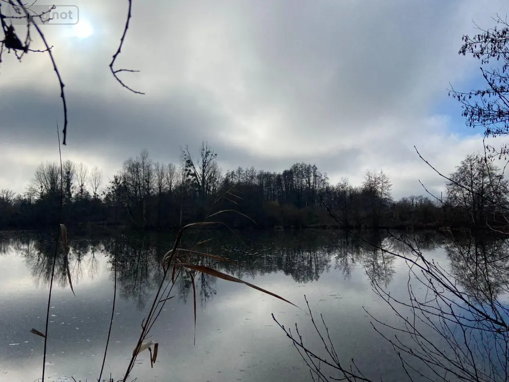 Terrains de loisirs bois etangs a vendre Requeil 72510 Sarthe 72 53000 euros TL/0014 002