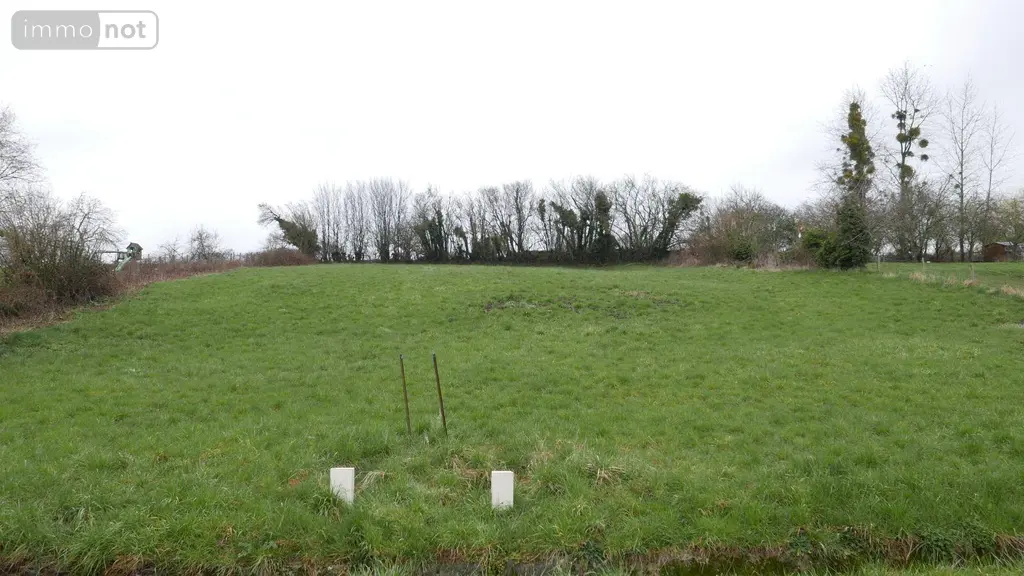 Terrain a batir a vendre Faissault 08270 Ardennes 08 30300 euros 08018--1995F 001