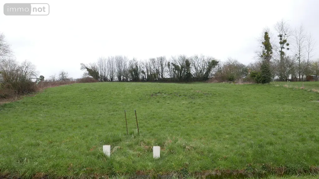 Terrain a batir a vendre Faissault 08270 Ardennes 08 30300 euros 08018--1995G 001