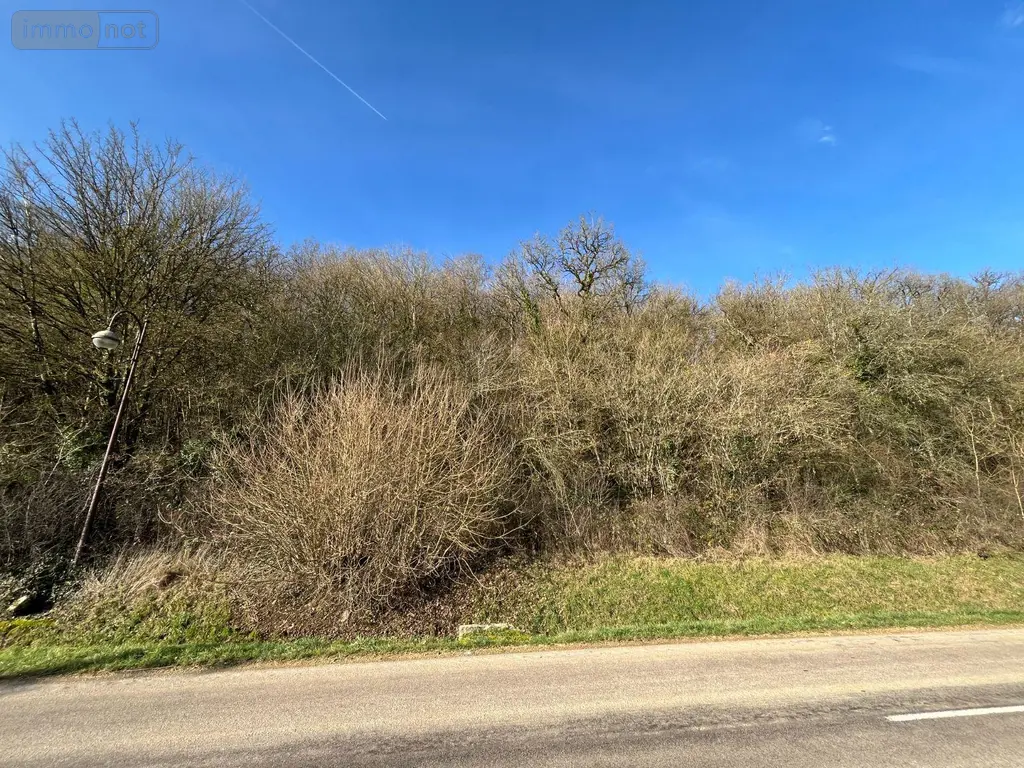 Terrain a batir a vendre Villemorien 10110 Aube 10 15500 euros 10361/5945 007