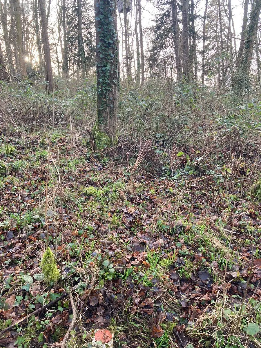 Terrains de loisirs bois etangs a vendre Bailleul-la-Vallée 27260 Eure 27 12200 euros 052/286 002