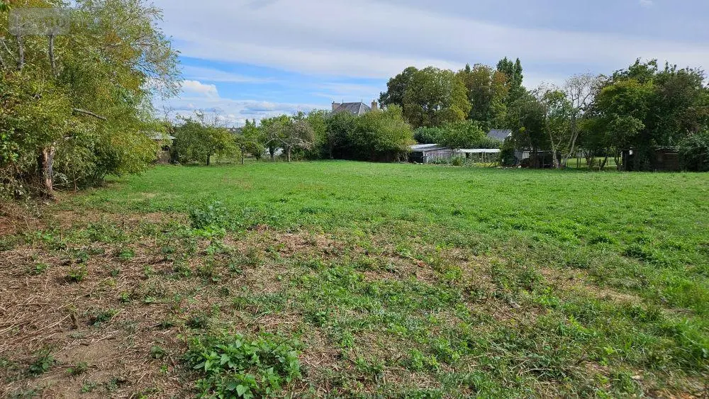 Terrain a batir a vendre Noyen-sur-Sarthe 72430 Sarthe 72 4285 m2 43000 euros 72119-1455 008