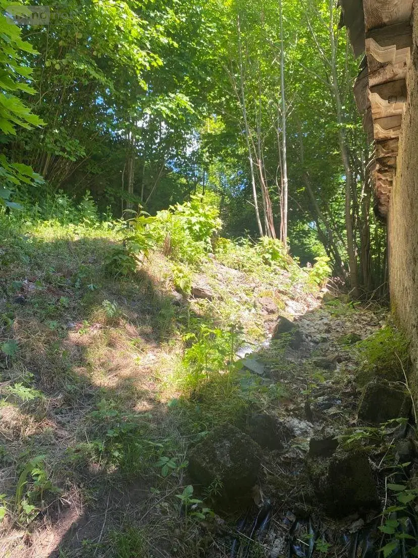 Maison a vendre Lavigerie 15300 Cantal 15 5 pièces 45000 euros MB/1899 004