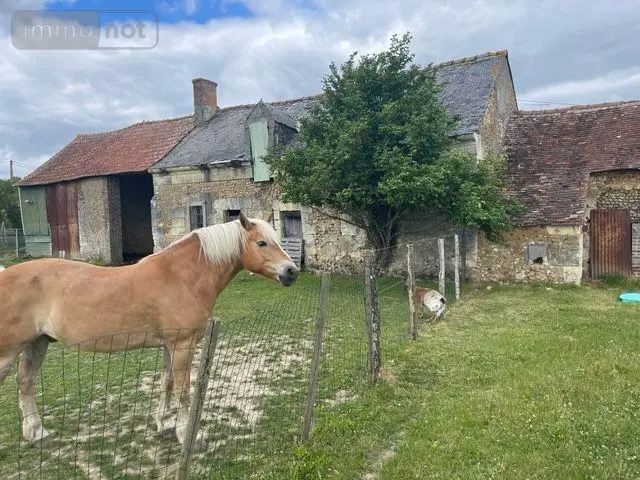 Maison a vendre Loir en Vallée 72340 Sarthe 72 340 m2 12 pièces 210000 euros 13816/929 006