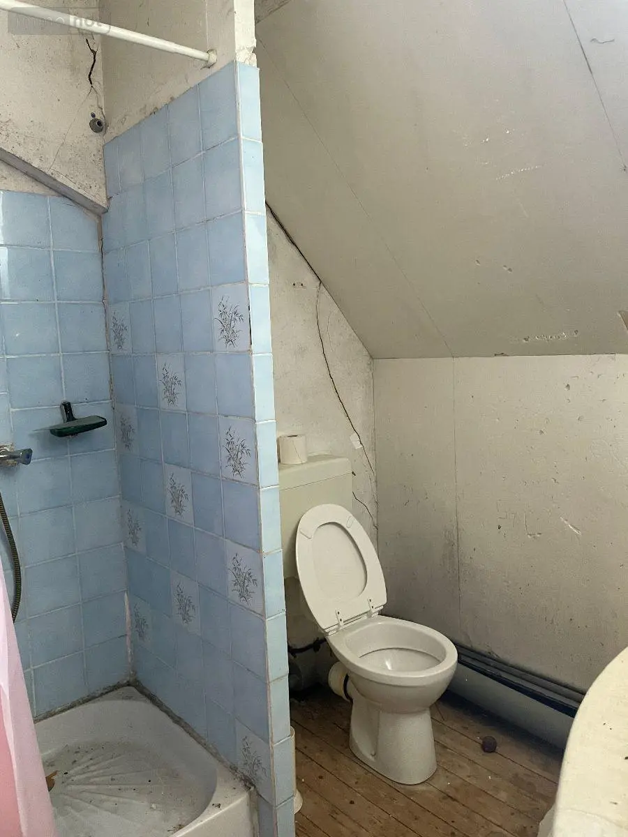 Maison a vendre Pellevoisin 36180 Indre 36 140 m2 10 pièces 102125 euros 016/336 012