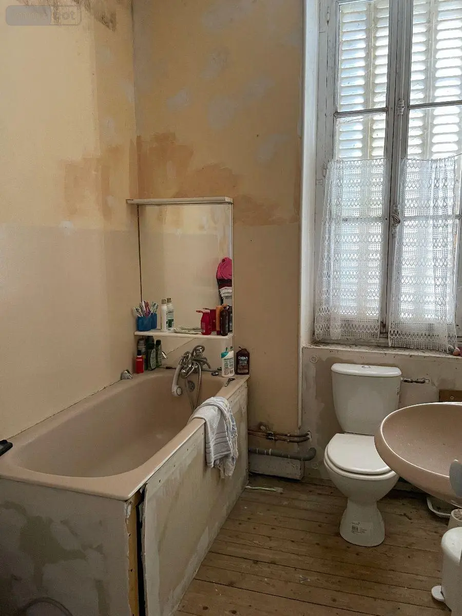 Maison a vendre Pellevoisin 36180 Indre 36 140 m2 10 pièces 102125 euros 016/336 014