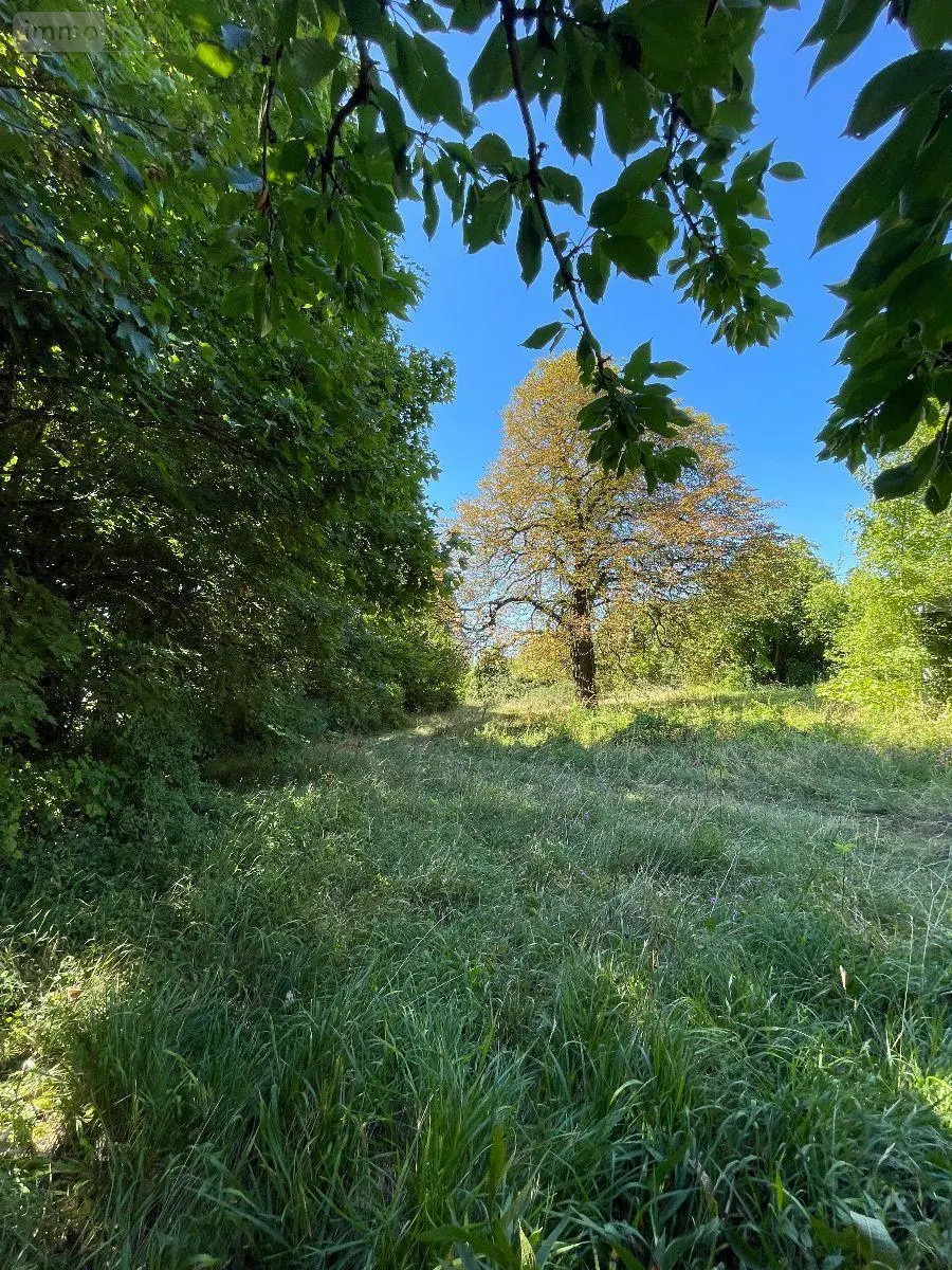 Maison a vendre Pellevoisin 36180 Indre 36 140 m2 10 pièces 102125 euros 016/336 005